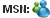 msn